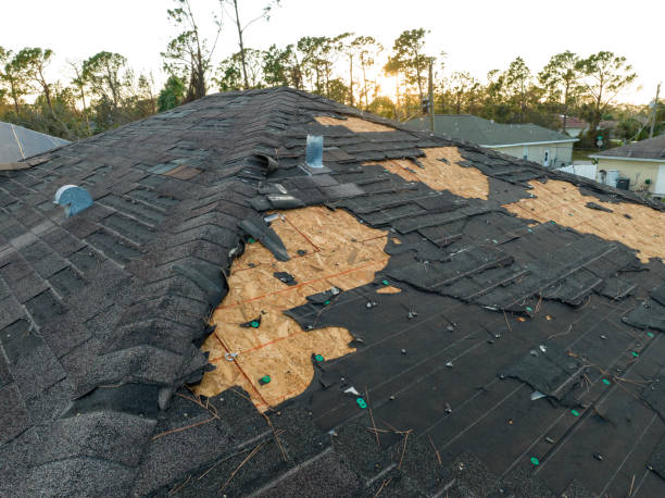 Roof Insulation Installation in Hermantown, MN